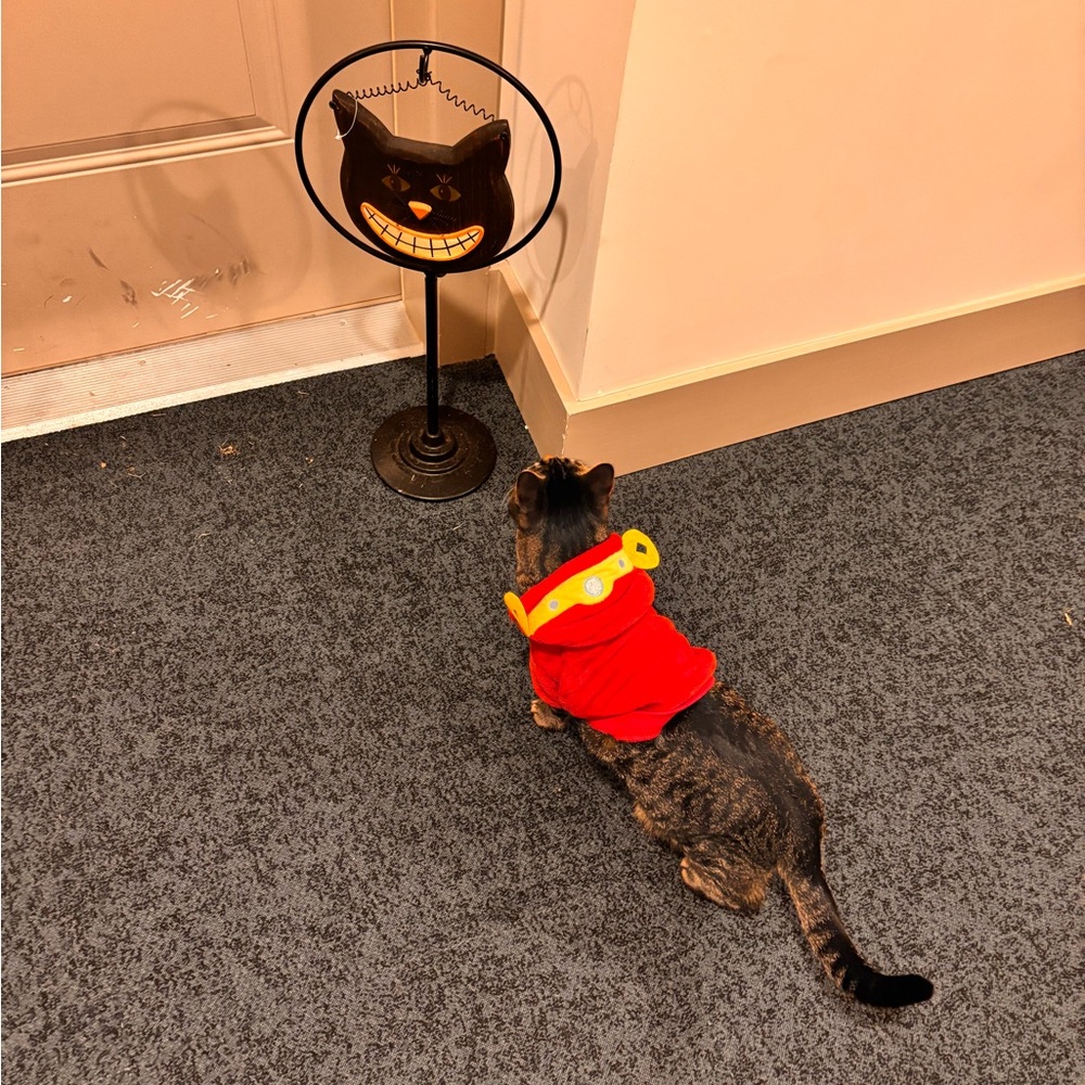 Robin's Jean Red Jacket with Yellow Accents